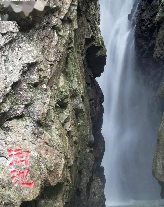 逗小猴开心系列177